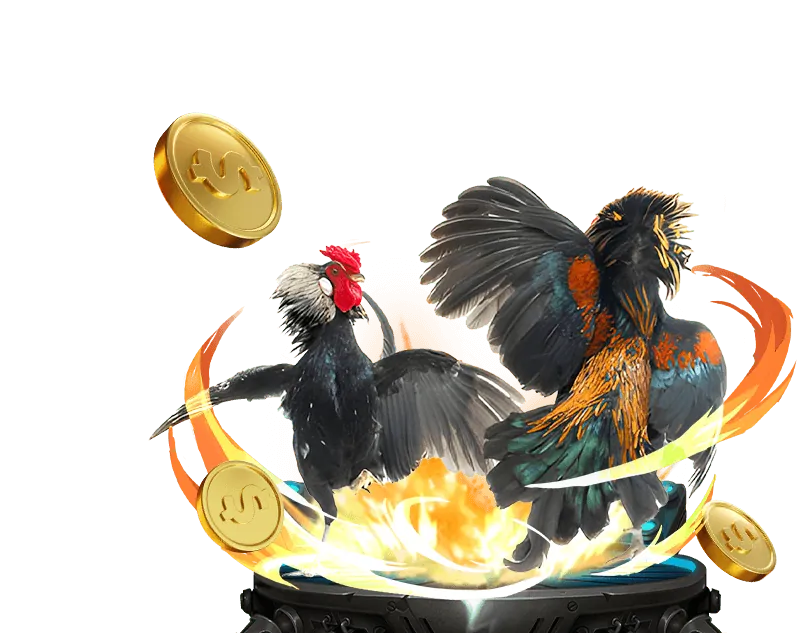 Hoàn trả Casino hàng tuần 3333win bet