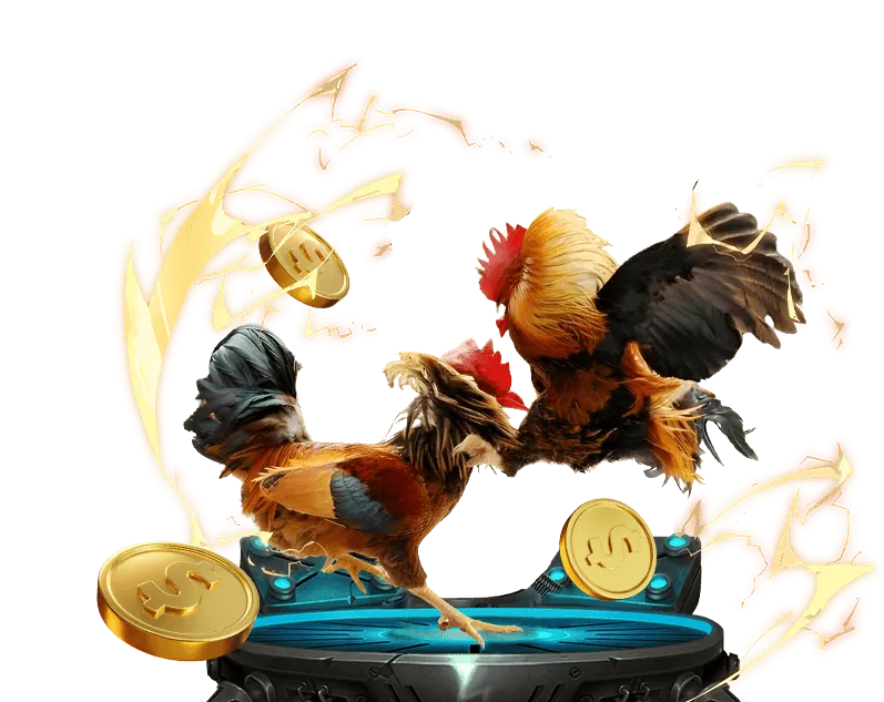 Sự kiện Đặc biệt & Lễ hội 3333win bet